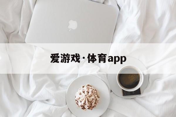 爱游戏·体育app